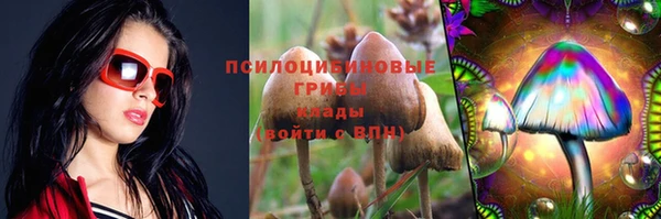 крисы Белокуриха