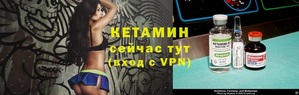 сатива Беломорск