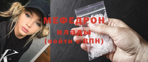 сатива Беломорск