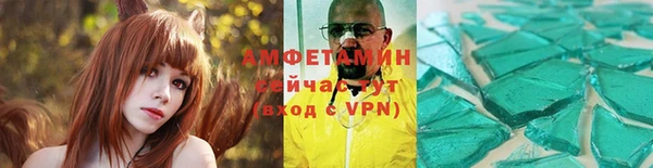 сатива Беломорск