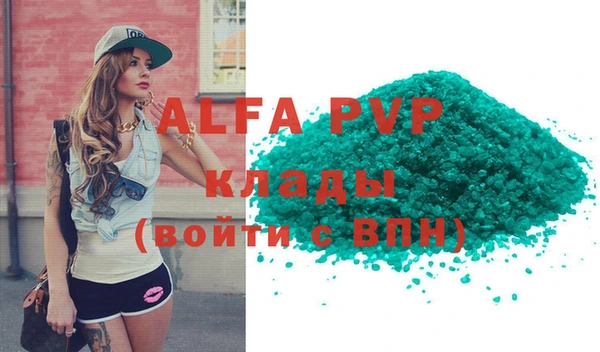 крисы Белокуриха
