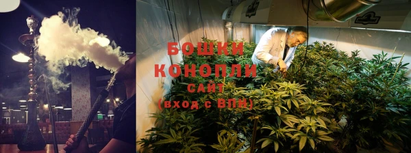 сатива Беломорск