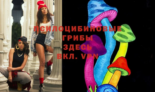 крисы Белокуриха