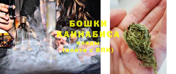 сатива Беломорск