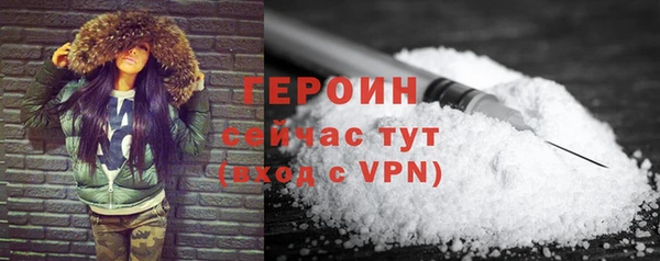 сатива Беломорск
