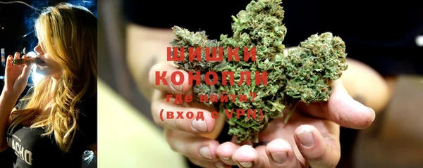 крисы Белокуриха