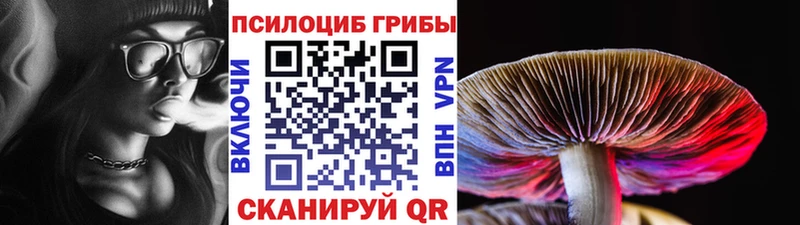 Галлюциногенные грибы прущие грибы  Облучье 