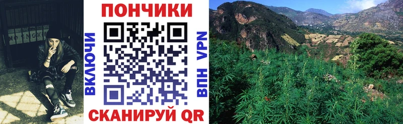 Каннабис Amnesia  Облучье 
